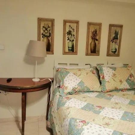 St. Thomas Bed And Breakfast-3